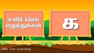 உயிர் மெய் எழுத்துக்கள் | Learn Tamil Alphabets | Uyir Mei Ezhuthukal | க ங ச ஞ ட