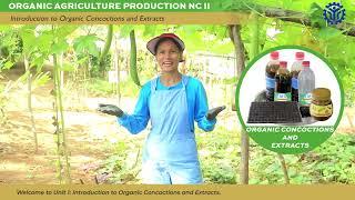 Introduction To Organic Concoctions And Extracts 1