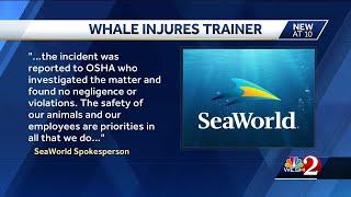 SeaWorld trainer breaks wrist after orca closed mouth on arm, docs say