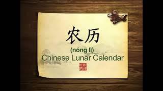 Hello China Ep.8 Chinese Lunar Calendar   Introduction你好中国 农历