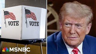 ‘Damage has already been done’: Analyst says GOP mixed messages on early vote sabotages themselves