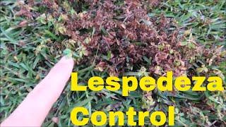 Weed Control for Lespedeza in the Lawn