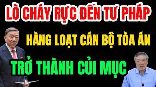 Lò Bác Tô Lâm Cháy Rực Đến Tư Pháp! Khi Hàng Loạt Cán Bộ Tòa Án ND Trở Thành Củi Mục