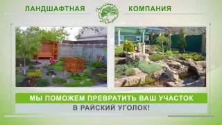 Ландшафтный дизайн Мелитополь. Продажа декоративных растений "Зеленая Жизнь"
