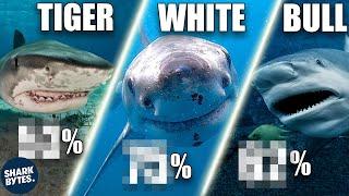 How Likely Are You to Survive a Shark Bite?