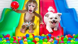 KiKi Monkey swimming at Ball Pit Pool and Rainbow Waterslide with Ducklings | KUDO ANIMAL KIKI