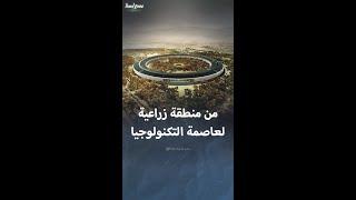 وادي السيليكون من منطقة زراعية لعاصمة التكنولوجيا