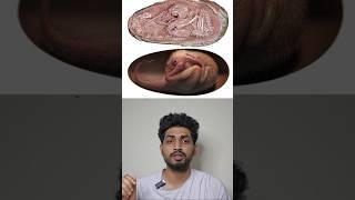 They Found Dinosaur Egg | 33 Million Old  #tamil