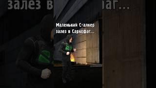 Маленький Сталкер залез в Саркофаг... #STALKER #ТеньЧернобыля