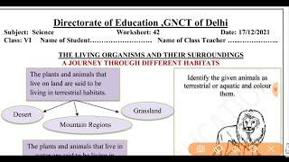 Science worksheet 42 class 6 (17/12/21) English medium/worksheet 42 science class6/class6 science