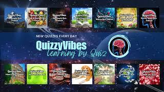 QuizzyVibes Welcome Video