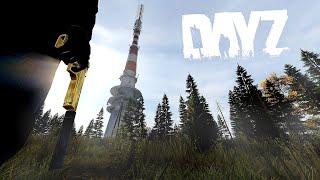 One ABSOLUTELY INSANE life in DayZ! 