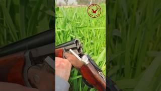 Экспортное ружье МР-27ЕМ 1С #охота #оружие #hunter #hunting #shotgun #gun #gunshot #guns #hunt