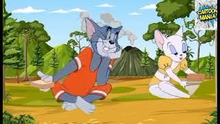 Tom and jerry | The tastiest food in tom & jerry | Classic Cartoon  Compilation | @cartoon mania