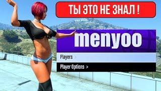 GTA 5  Menyoo топ настройки. Секреты трейнера