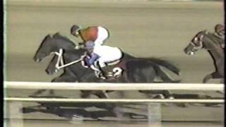 1989 Super Derby -- Sunday Silence