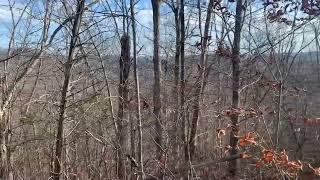 Video of Back 460 Cow Creek Ravenna, KY 40472