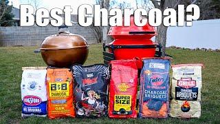 Charcoal Showdown: High-End vs Budget Brands