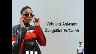 Zuchu - Antenna Official Lyrics Video by @DrizzyOfAvrilVEVO