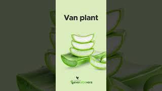 Van plant, naar product, naar jou!