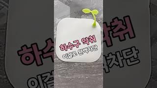 하수구 악취? 이걸로 완벽차단  #하수구트랩 #욕실필수템 #악취차단