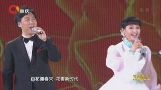 百花迎春-中国文学艺术界2017春节大联欢 2017 China Literary and Art Circles Spring Festival Gala