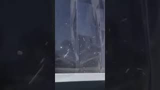 Дробилка для фанеры - КИИТ