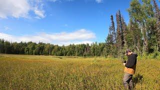Welcome To Our Future Homestead | We're Landowners in Alaska!