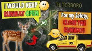 Controller SCOLDED BY Airport Authority Vehicle | Deer on the Runway at Teterboro!