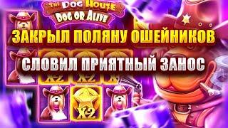 ЗАКРЫЛ ПОЛЯНУ ОШЕЙНИКОВ В СЛОТЕ - DOG HOUSE DOG OR ALIVE! СЛОВИЛ ПРИЯТНЫЙ ЗАНОС!