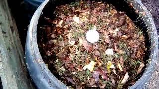 How hot can I get my Dalek style compost bin attempt 2 Part1