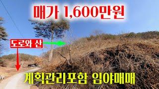 1335][임야매매] 현황도로가 접하고 일부 계획관리지역이 포함 되어 있는 소액 임야 입니다