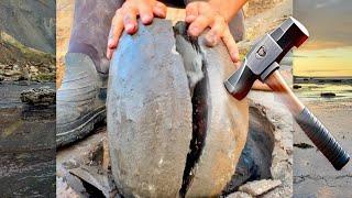 We CRACKED Limestone Rocks For Fossils! Calcite Ammonites, Squid, Bones And More!