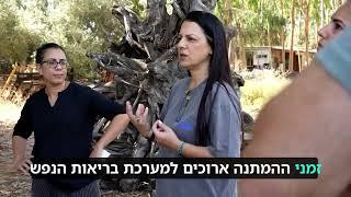 רפואת יער ישראל