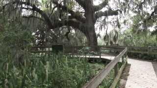 Preserves of Manatee County featuring Emerson Point Preserve: Manatee County Government