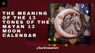 Energies Of The 13 Tones- Mayan Oracle-13 Day Wave Spell Cosmic Intelligence