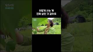현실판 리틀 포레스트