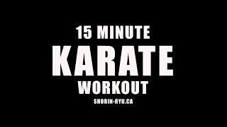 15 Minute Karate Workout - Fast and effective