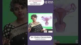 How to Get pregnant fast with Endometriosis || Dr Chekuri Suvarchala