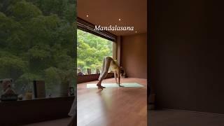 100명 중에 1명 가능한 요가 동작 (따라하지마세요 #고난이도요가 #요가강사 #yoga #mandalasana