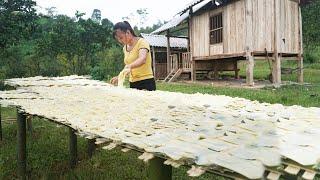 Harvest Bamboo Shoots, How To Process and Preserve Bamboo Shoots | Hoàng Thị Thư - Building Farm