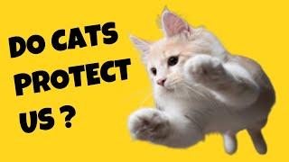 How Do We Know Cats Are Protecting Us? - Cat's Knowhow