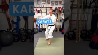 KARATE vs. TAI CHI 