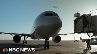 American Airlines temporarily grounds all flights, snarling holiday travel