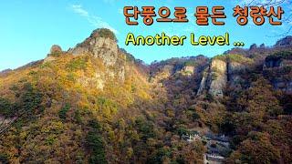 단풍으로 물든 청량산, Another level... Mt. Cheongnyang, colored with autumn leaves