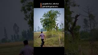 Some melodies are better than toxic music  #trending #viralvideo #shorts