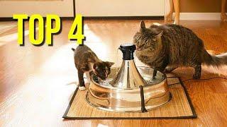 TOP 4 : Best Cat Water Fountain 2022