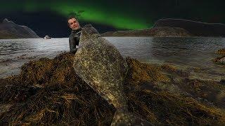 Spearfishing Giant Atlantic HALIBUT in Norway