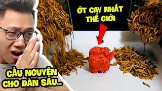 Rùng Mình 10000 Con Sâu Ăn 1 Quả Ớt Cay Nhất Thế Giới