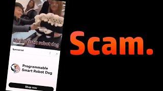 No, You Can't Have a Robot Puppy! Because it's a SCAM (Scam Awareness)